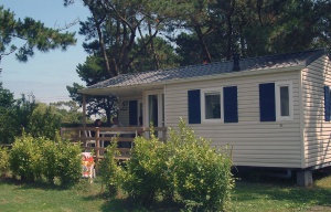 Cottage 5 personnes 30 m² - verdure